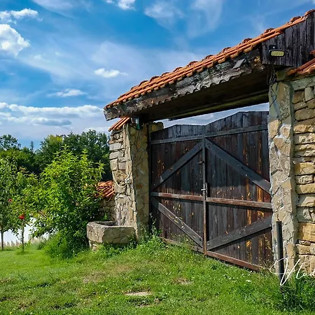 Bachvarovi Tryavna